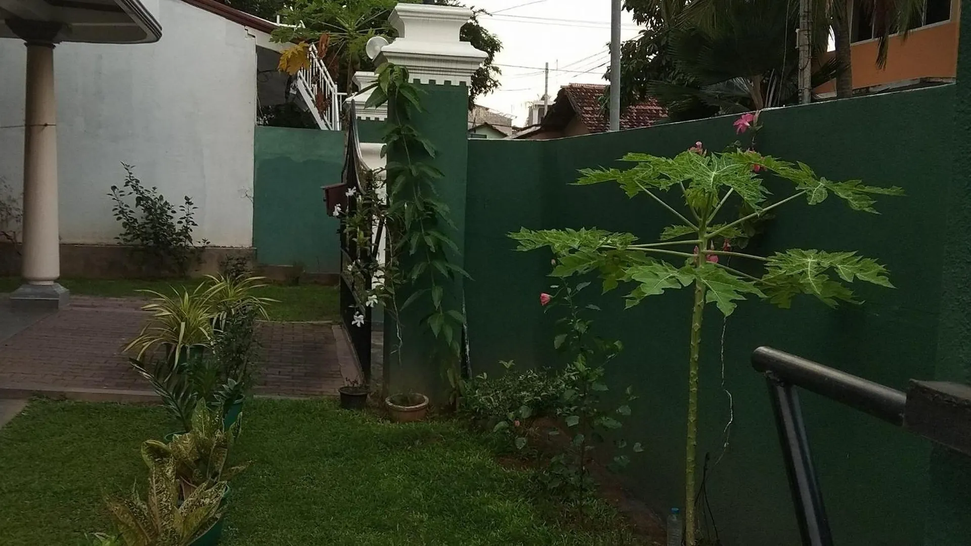 Nest Hostel Negombo Sri Lanka